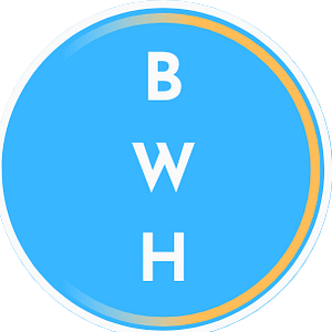 The Blue Water House - Logo