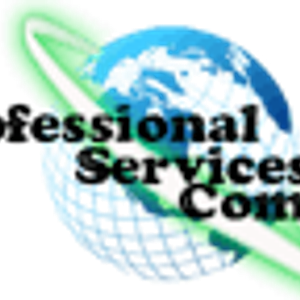Professional Services Company - Logo