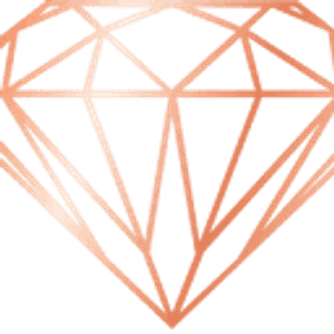 Diamond Studio PMU School