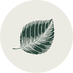 The North Shore Beach Cabana - Logo