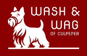 Wash & Wag of Culpeper