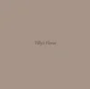 Tilly’s Florist - Logo
