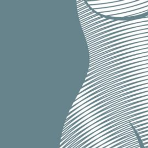 Bend Plastic Surgery - Logo