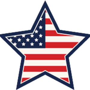 Freedom Rock Chip - Logo