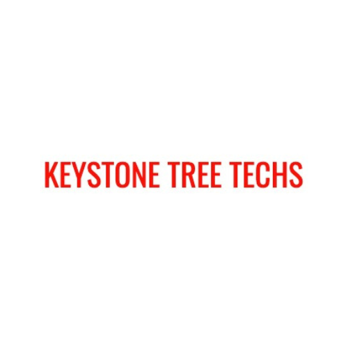 Keystone Tree Techs - Logo