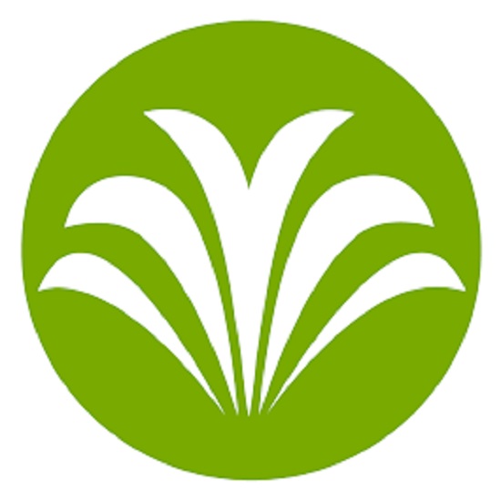 Radiance Rx Skin & Aesthetics - Medical spa in Apex