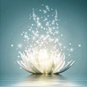 Diamond Glow Skincare And Spa - Logo