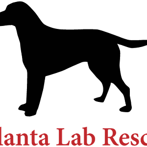 Atlanta Lab Rescue - Logo