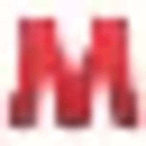 Mick's Door Shop - Logo
